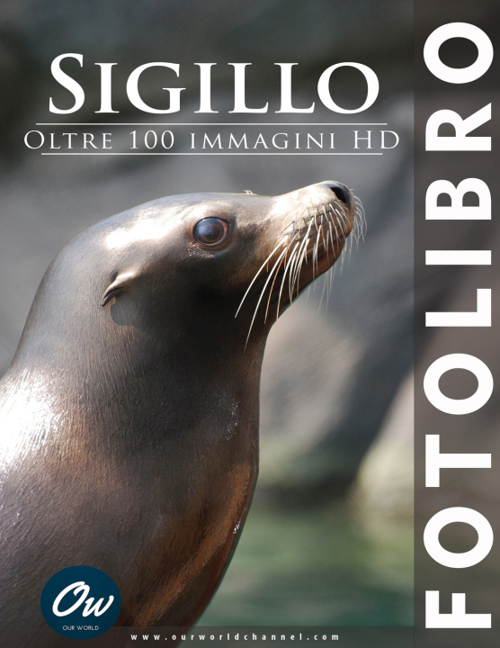 Kniha Sigillo A Arelt