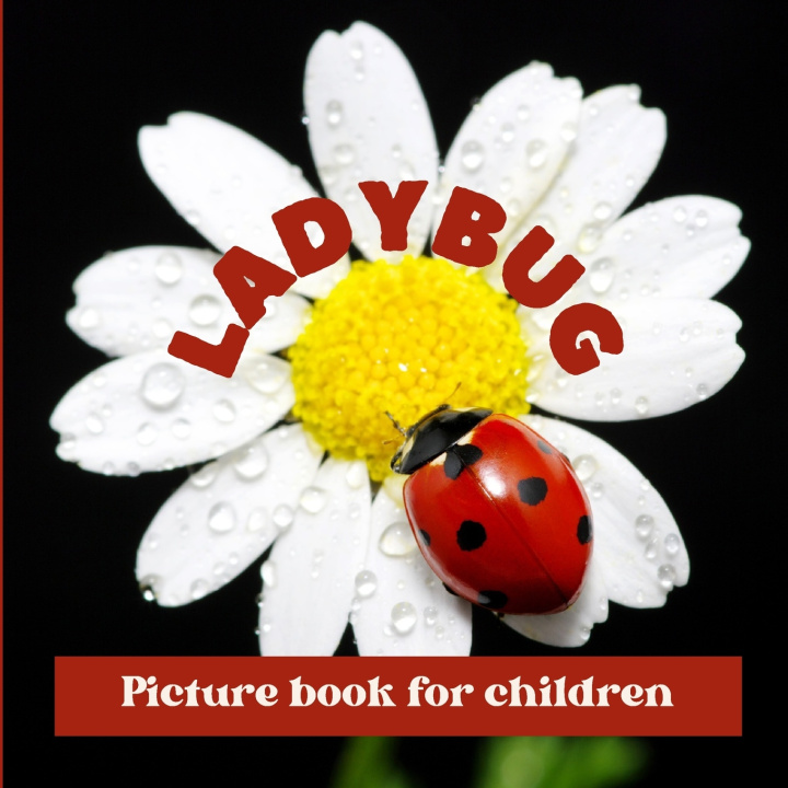 Kniha Ladybug Frank Martins