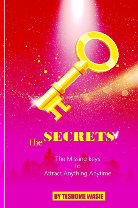 Kniha The Secrets Teshome Wasie