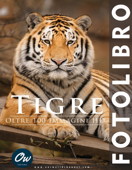 Kniha Tigre A Arelt