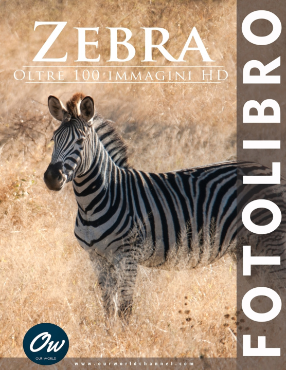Kniha Zebra A Arelt