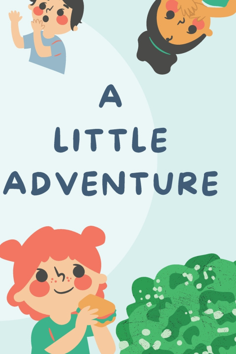Kniha A little adventure shruti viradia
