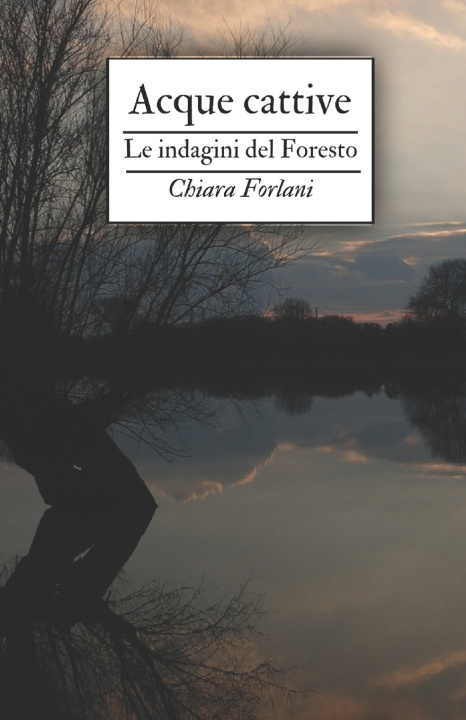 Kniha Acque cattive Chiara Forlani