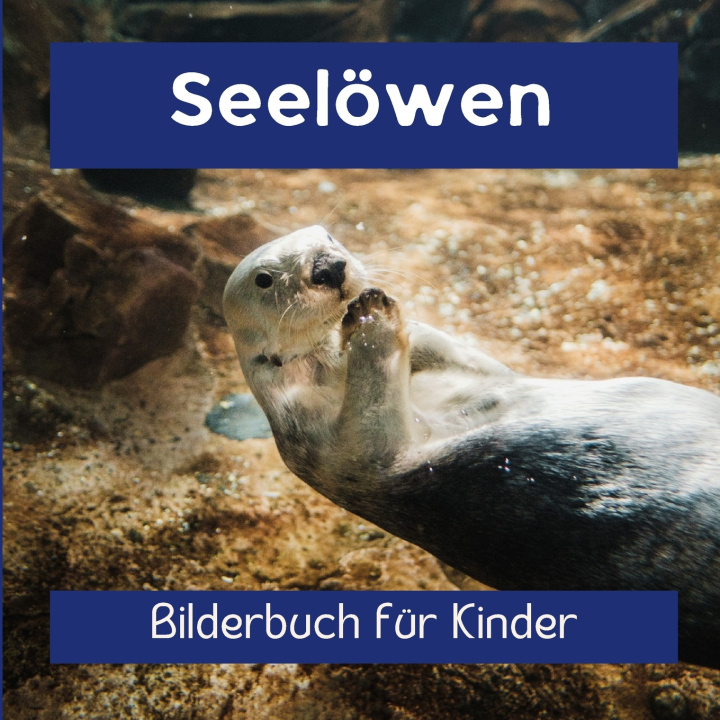 Kniha Seelöwen Claudia Schmidt