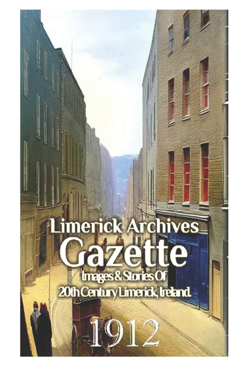 Książka Limerick Archives Gazette Gerard Hannan