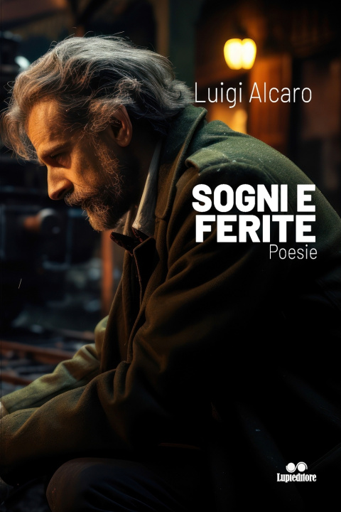 Buch SOGNI E FERITE Luigi Alcaro