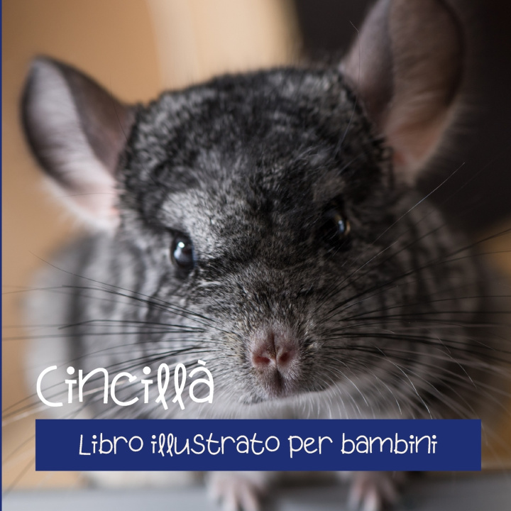 Kniha Cincillà Massimo Pulviscolo