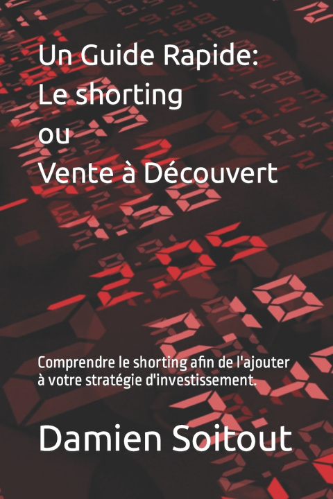 Kniha Un Guide Rapide Damien Soitout