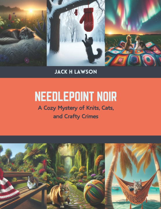 Kniha Needlepoint Noir Jack H Lawson