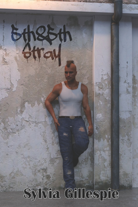 Kniha 5th & 5th Stray Sylvia Gillespie