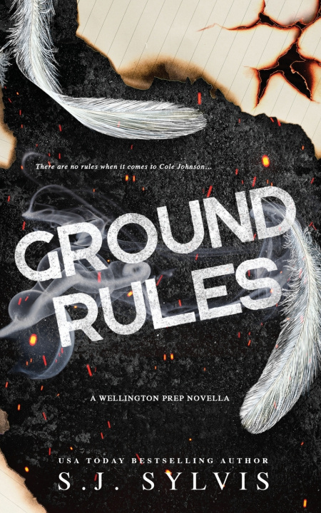 Knjiga Ground Rules SJ Sylvis