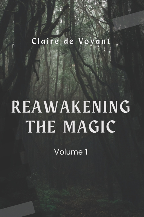 Książka Reawakening the Magic - Volume 1 Claire de Voyant