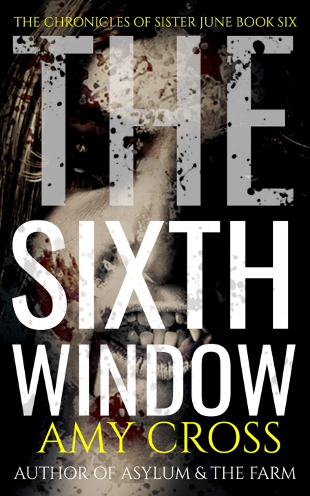 Kniha The Sixth Window Amy Cross