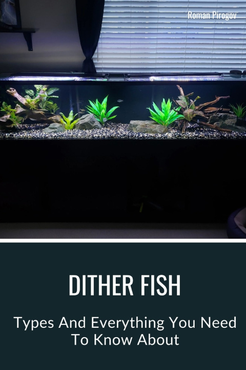 Kniha Dither Fish Roman Pirogov