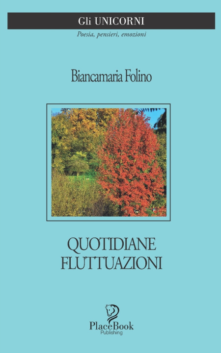 Książka QUOTIDIANE FLUTTUAZIONI Biancamaria Folino