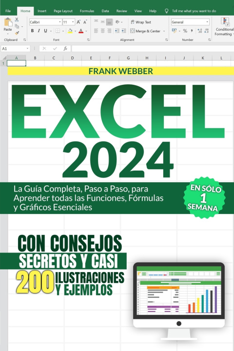 Kniha EXCEL 2024 Frank Webber