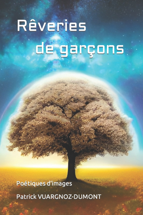 Książka Rêveries de garçons Patrick VUARGNOZ-DUMONT