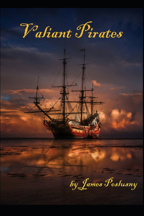 Kniha Valiant Pirates James Poslusny