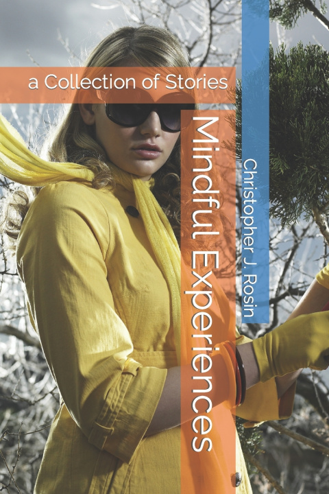 Kniha Mindful Experiences Christopher J. J. Rosin
