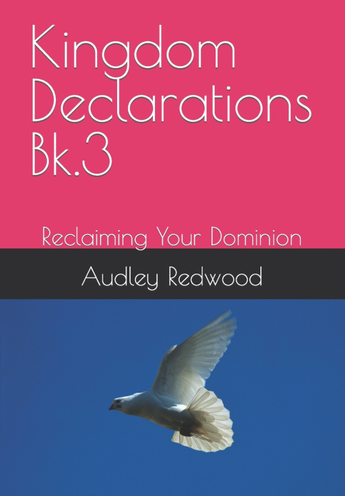 Książka Kingdom Declarations Bk.3 Audley Redwood