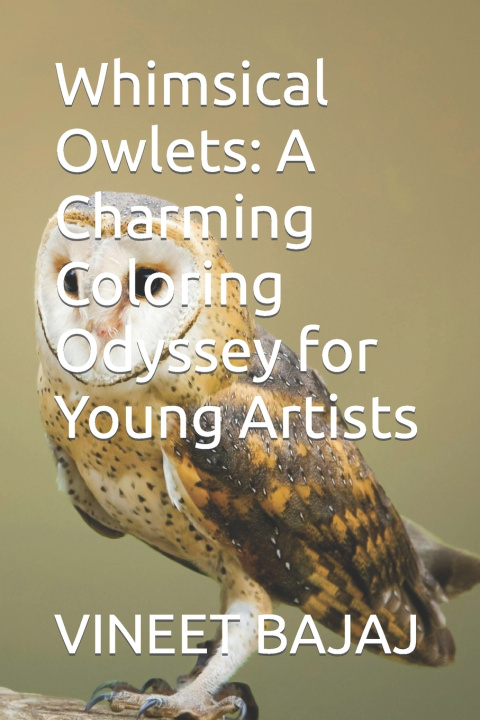 Kniha Whimsical Owlets VINEET BAJAJ