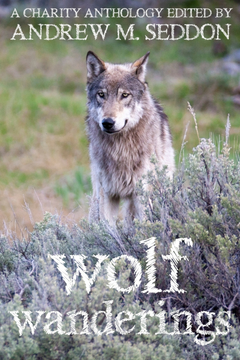 Kniha Wolf Wanderings Andrew M Seddon