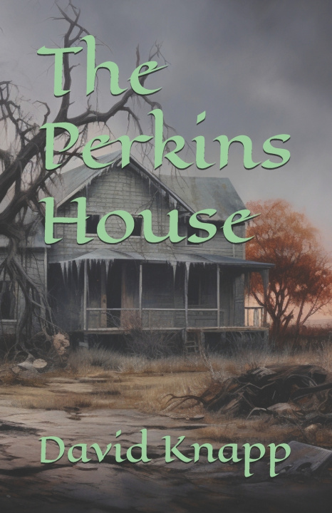 Książka The Perkins House David Knapp