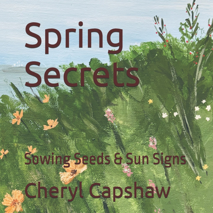 Kniha Spring Secrets Cheryl Capshaw