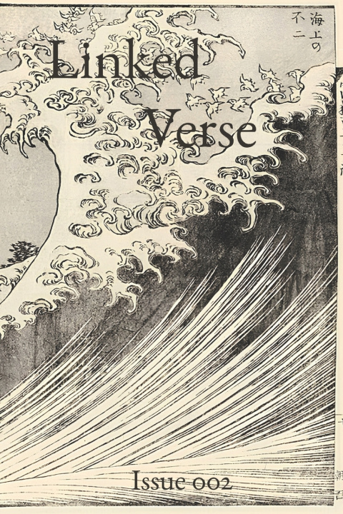 Kniha Linked Verse Issue 002 Gerard Sarnat