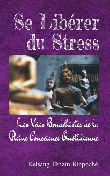 Knjiga Se Libérer du Stress Kelsang Tènzin Rinpoché
