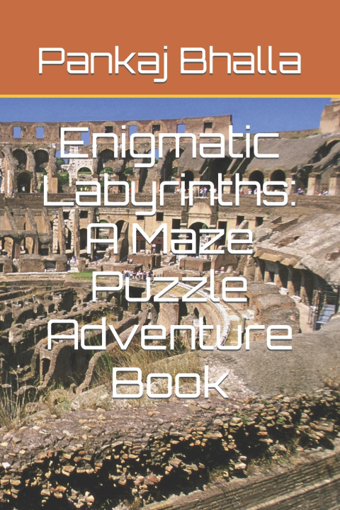 Kniha Enigmatic Labyrinths Pankaj Bhalla