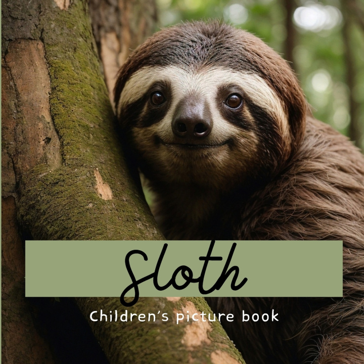 Kniha Sloth Lily Chala