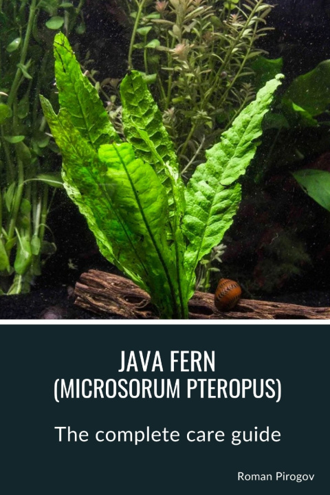 Kniha Java fern (microsorum pteropus) Roman Pirogov