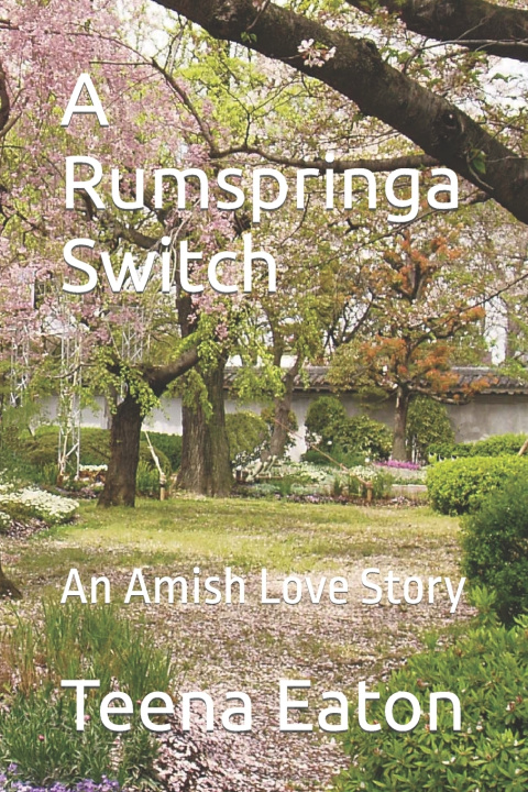 Kniha A Rumspringa Switch Teena Eaton