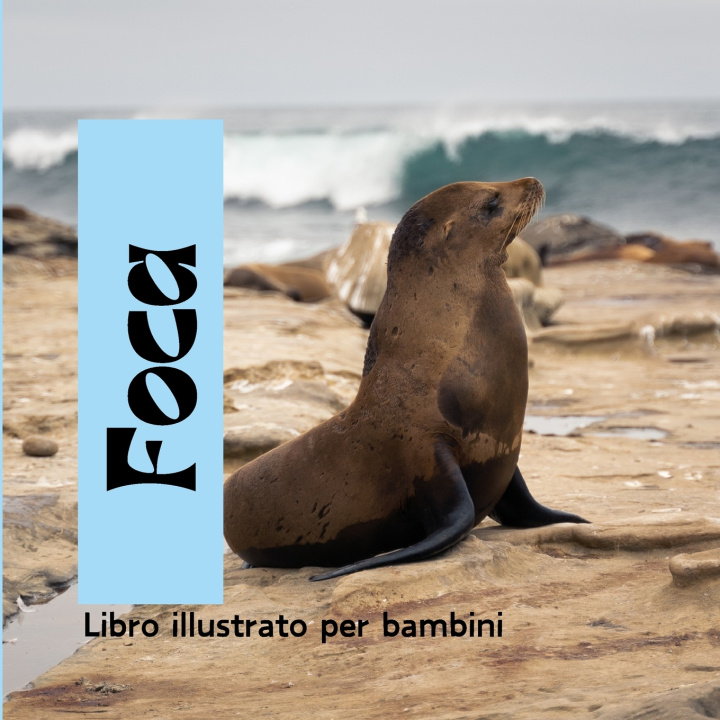 Kniha Foca Emma Pola