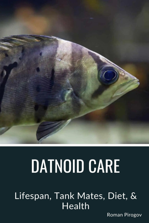 Kniha Datnoid Care Roman Pirogov