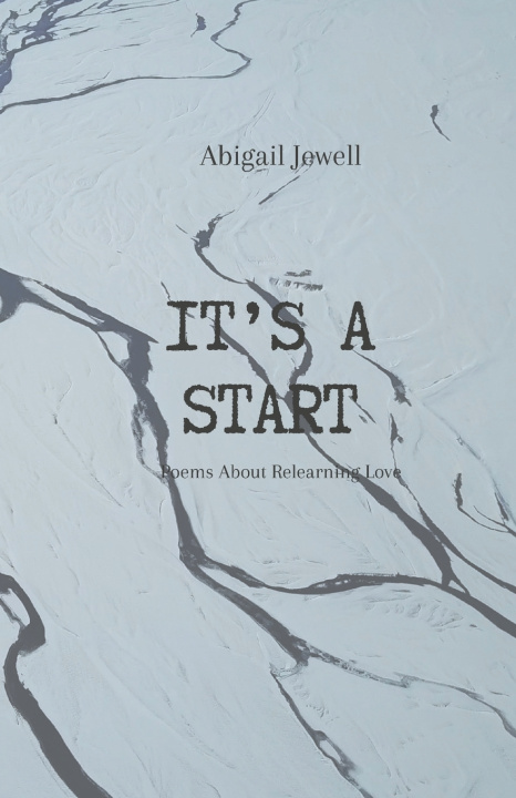 Kniha It's A Start Abigail Jewell