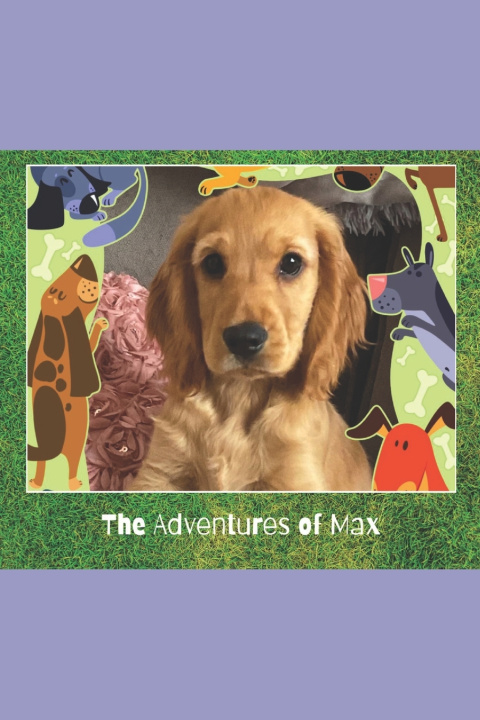 Kniha The Adventures of Max Helen Blair