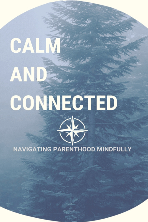 Knjiga Calm and Connected Cristian Secrieru