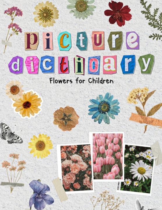Knjiga Picture Dictionary Magic Brushstrokes