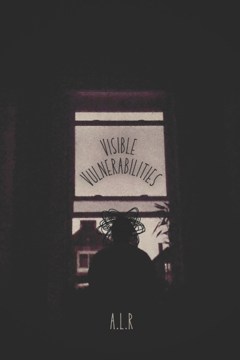 Kniha Visible Vulnerabilities A.L. Roberts