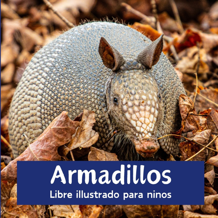 Książka Armadillos Patricia Andaba