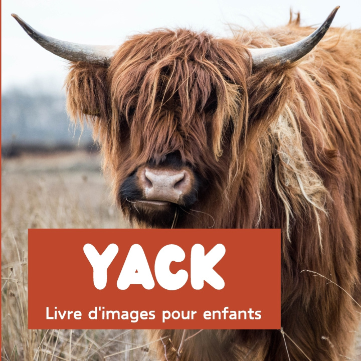 Book Yack Émilie Dumertre