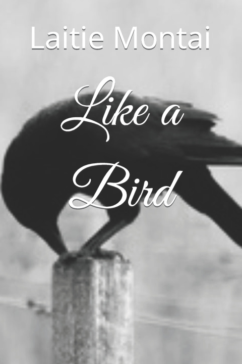 Kniha Like a Bird Laitie Montai