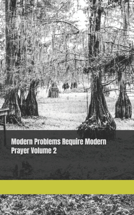 Kniha Modern Problems Require Modern Prayer Volume 2 Daijhnae Diamond Coulter