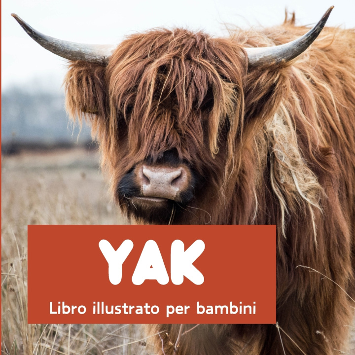 Kniha Yak Alessio Puerto