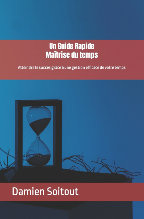 Kniha Un Guide Rapide Damien Soitout