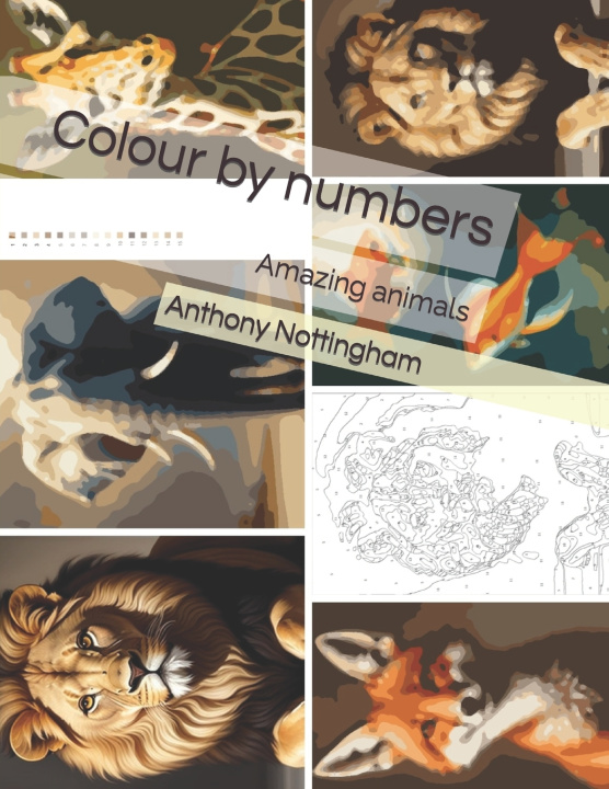 Książka Colour by numbers Anthony Nottingham