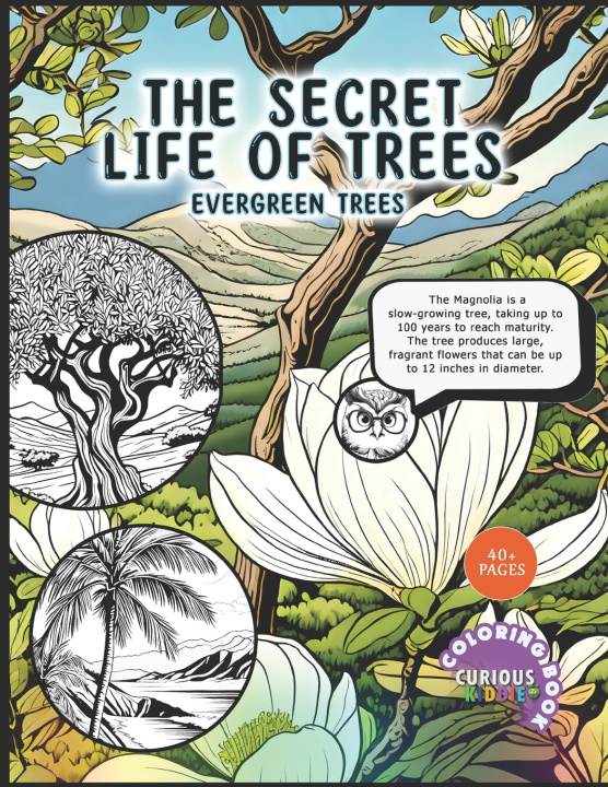Kniha The Secret Life of Trees Curious Kiddie