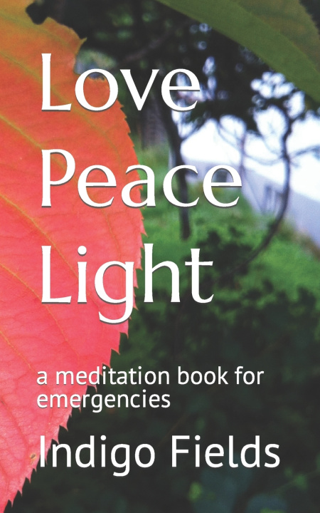 Knjiga Love Peace Light Indigo Fields